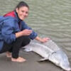 graysea10